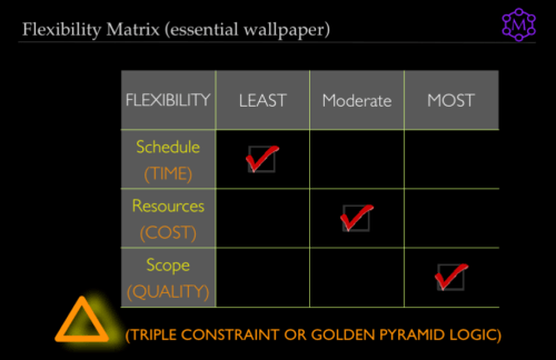 Triple Constraint Theory: Use a Flexibility Matrix to Fortify Product Vision